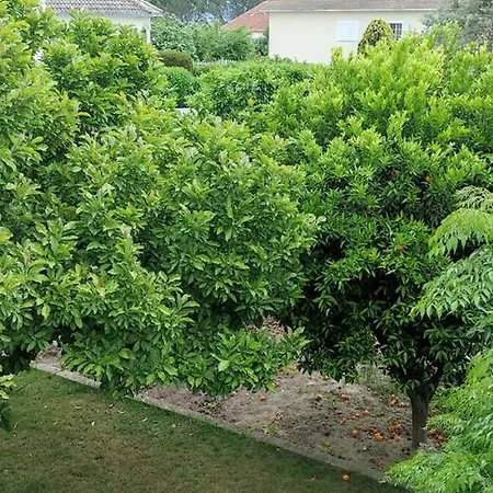 Casa Dos Avós * Canas de Senhorim