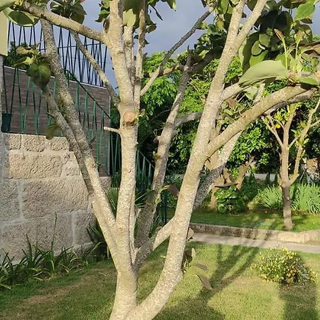 Casa Dos Avos *