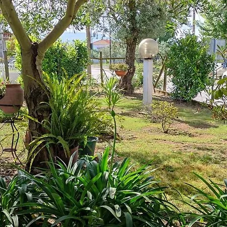 Casa Dos Avos *