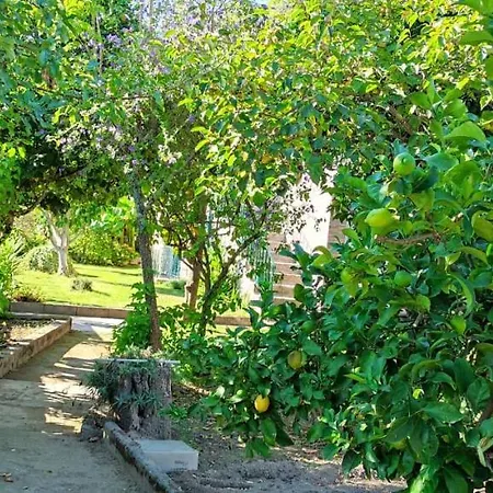 Casa Dos Avos