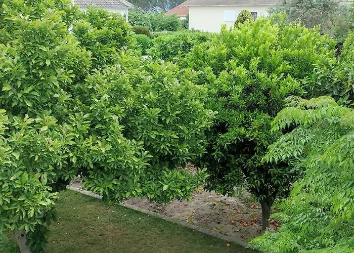Casa Dos Avos * Canas de Senhorim