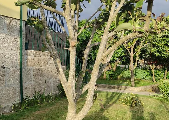 Casa Dos Avos *