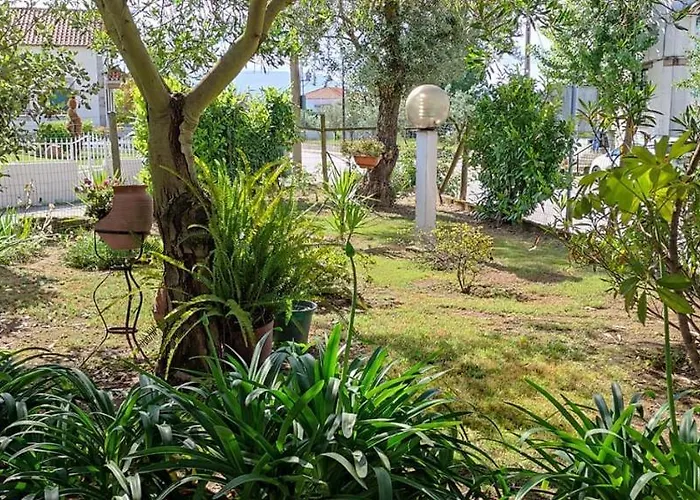 Casa Dos Avos *